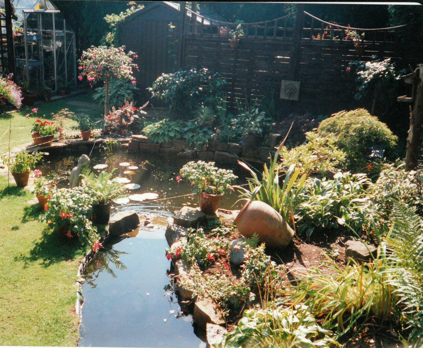 pond and shrubs